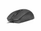 Natec HOOPOE 2 1600 DPI Office Optick 1 600 DPI Wired USB Black